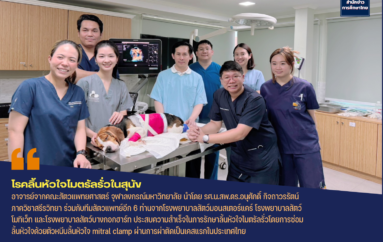  สัตวแพทย์ จุฬาฯ ผ่าตัดซ่อมลิ้นหัวใจรั่วในสุนัขด้วยนวัตกรรมใหม่  สำเร็จรายแรกในเอเซียตะวันออกเฉียงใต้และประเทศไทย