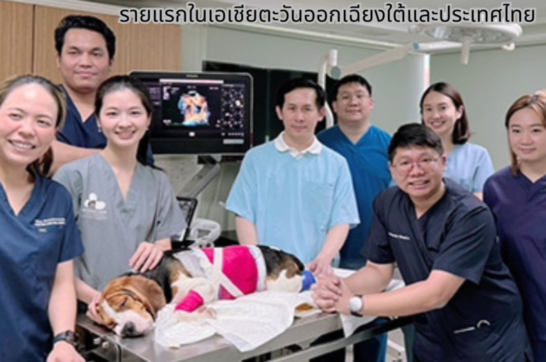 สัตวแพทย์ จุฬาฯ ผ่าตัดซ่อมลิ้นหัวใจรั่วในสุนัขด้วยนวัตกรรมใหม่  สำเร็จรายแรกในเอเชียตะวันออกเฉียงใต้และประเทศไทย