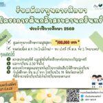 FB_IMG_1765362560506